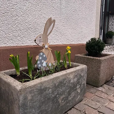 Am Berg 아파트 바트버그자베른